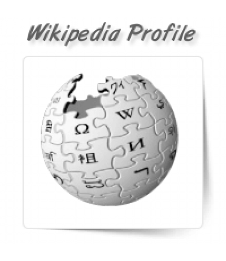 Wikipedia Profile Writing